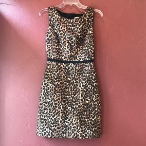 Loft Dress Size 2